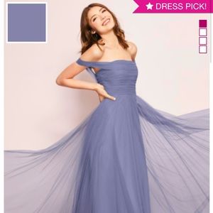 NWT Unworn bridesmaid/formal dress